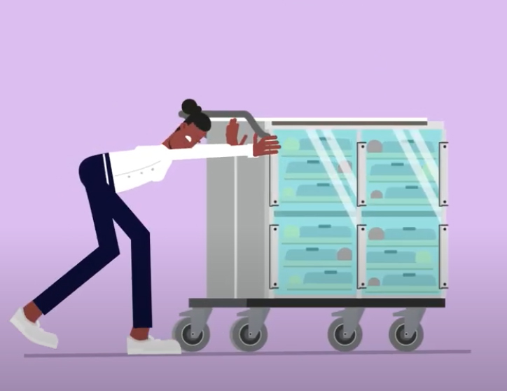 Communiqué SYNEG : L’ergonomie des équipements professionnels